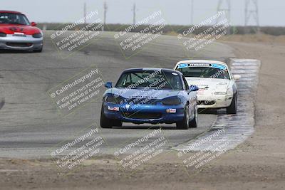 media/Oct-26-2024-Nasa (Sat) [[d836a980ea]]/Race Group B/Grapevine/